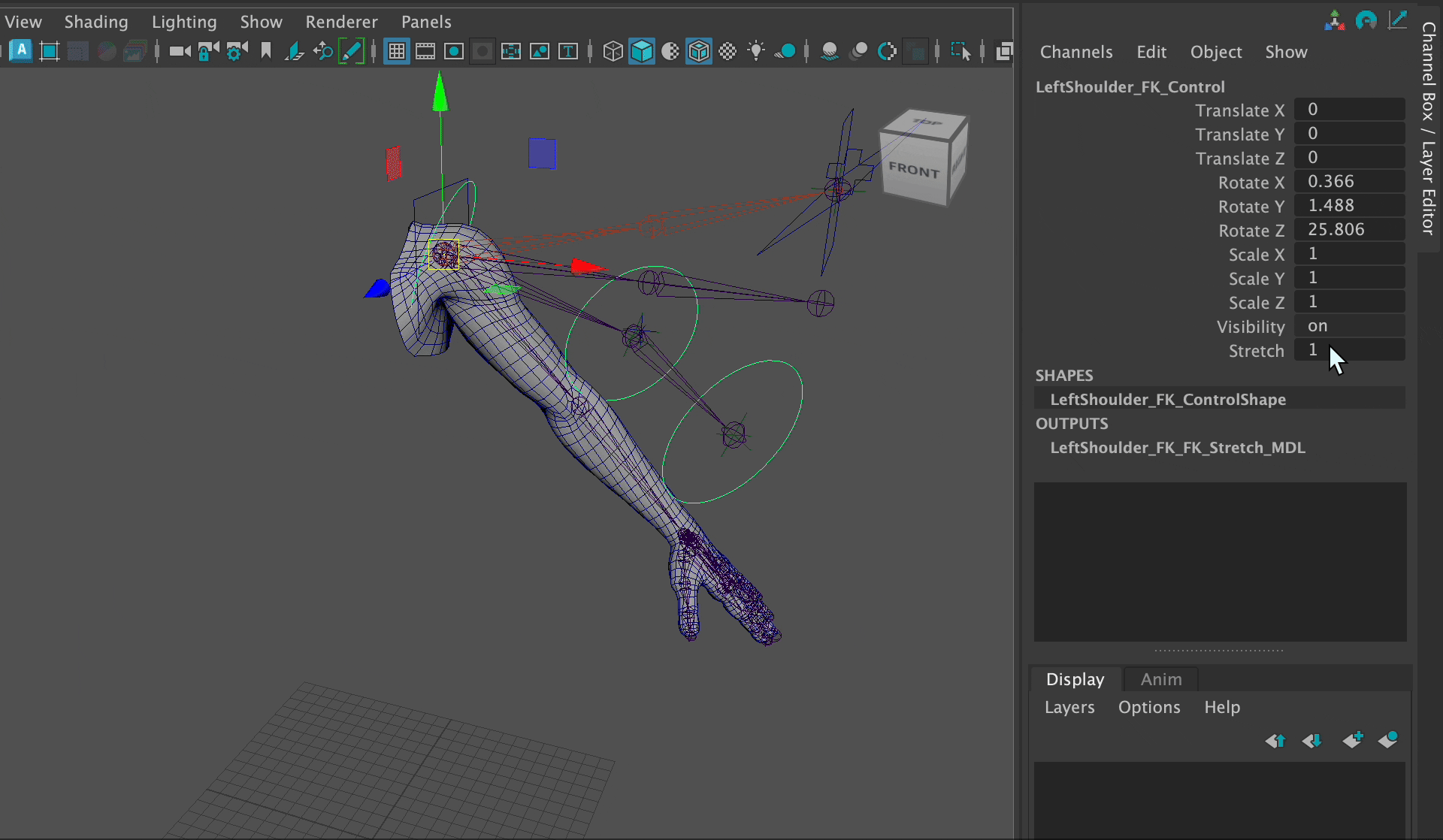 Stretchy Bones