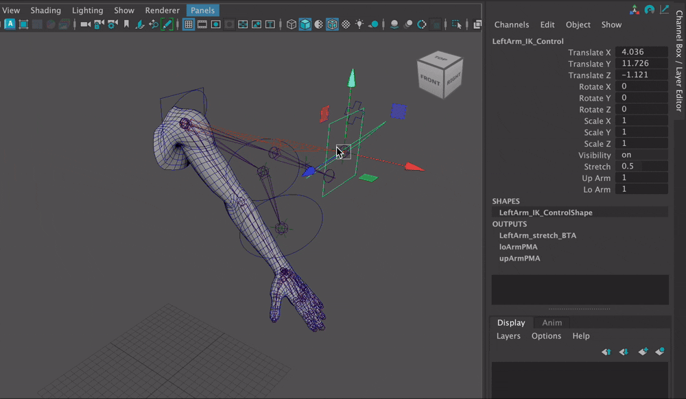Stretchy Bones