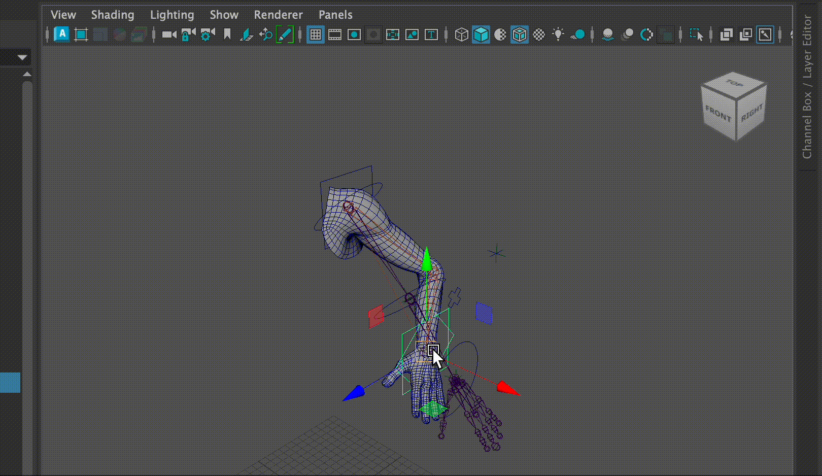 Stretchy Bones